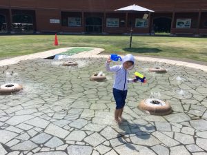 トキっ子夏のおすすめスポット大潟水と森公園